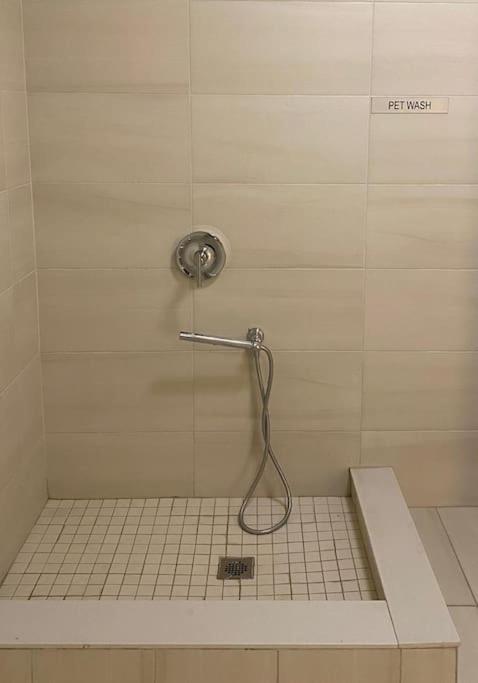 Innisfil Cozy South View Suite Overlooking The Nature Trail מראה חיצוני תמונה
